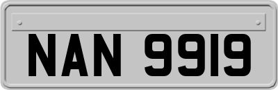 NAN9919