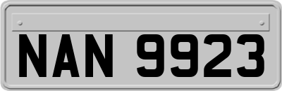 NAN9923