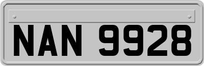 NAN9928