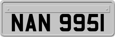 NAN9951
