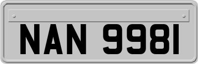 NAN9981