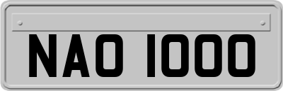 NAO1000