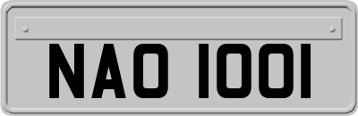 NAO1001