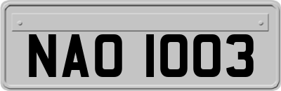 NAO1003