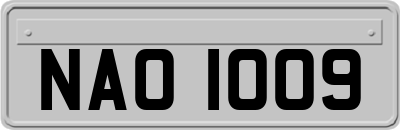 NAO1009