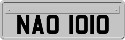 NAO1010