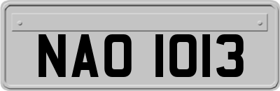 NAO1013