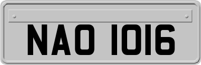 NAO1016