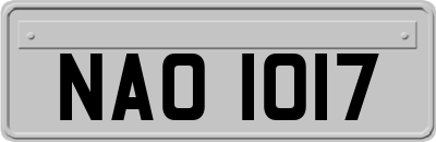 NAO1017