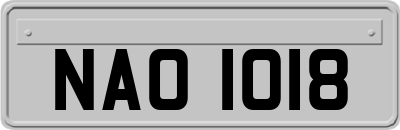 NAO1018