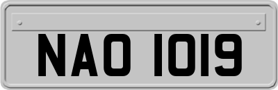 NAO1019