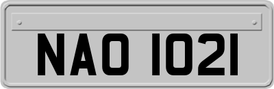 NAO1021