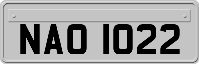 NAO1022