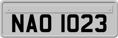 NAO1023