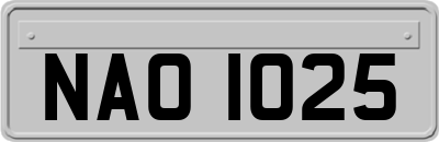 NAO1025