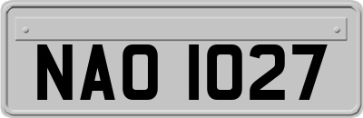 NAO1027