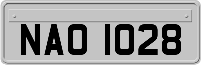 NAO1028