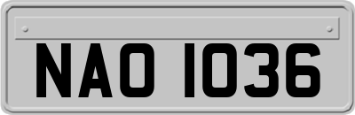 NAO1036