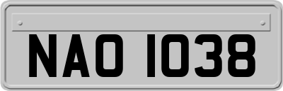 NAO1038