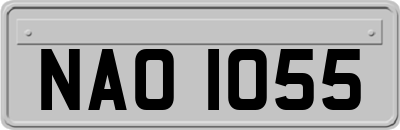 NAO1055