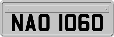 NAO1060