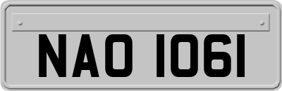 NAO1061