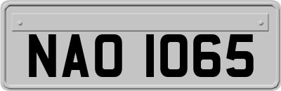 NAO1065