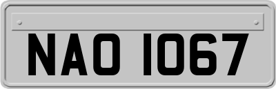 NAO1067