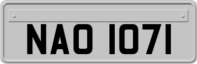 NAO1071