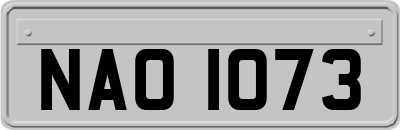 NAO1073