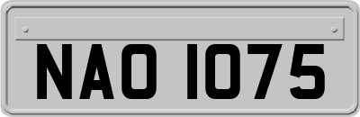 NAO1075