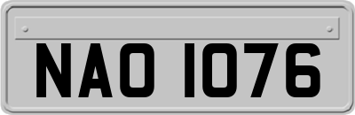 NAO1076