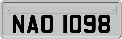 NAO1098