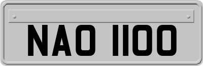 NAO1100