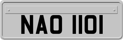 NAO1101