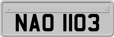 NAO1103