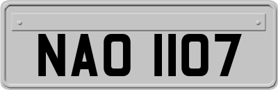 NAO1107