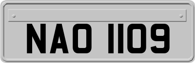 NAO1109