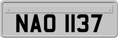 NAO1137
