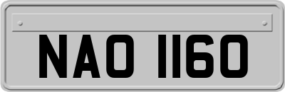 NAO1160
