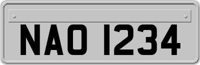 NAO1234