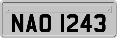 NAO1243