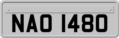 NAO1480