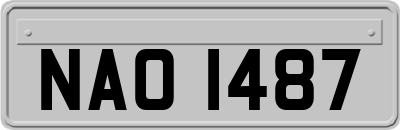 NAO1487