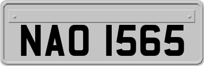 NAO1565