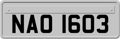 NAO1603