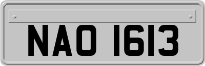 NAO1613