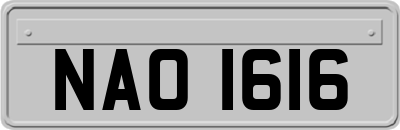 NAO1616