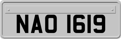 NAO1619