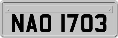 NAO1703